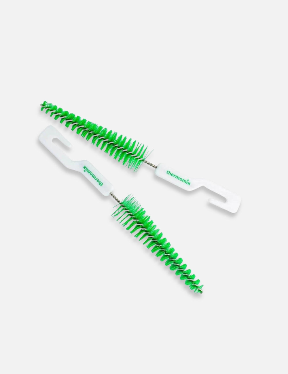 brittlebrush Green Brittled Brush